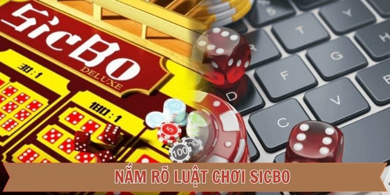 Quy tắc chơi tài xỉu cơ bản cho hội viên