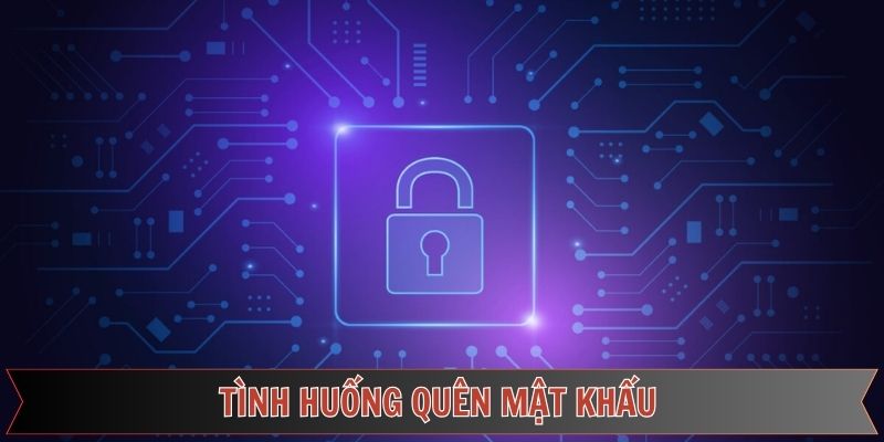 Các lỗi phổ biến khi hội viên quên mật khẩu