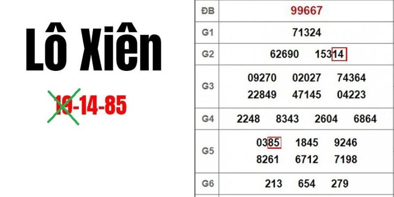 Một số lợi ích khi tham gia cược tại nền tảng