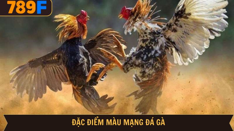 Đặc điểm điển hình của màu mạng đá gà 