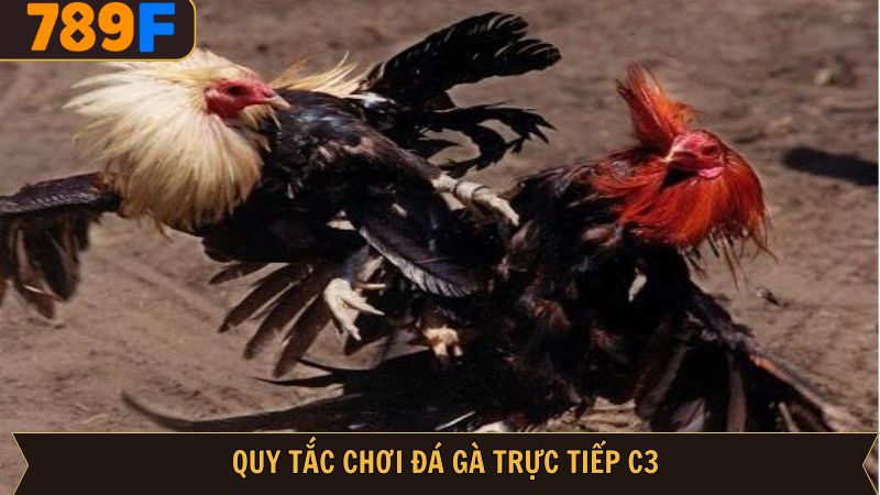 Quy tắc điển hình trong đá gà C3