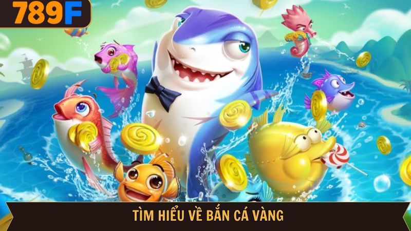 Toàn bộ dữ liệu liên quan đến trò chơi cá vàng