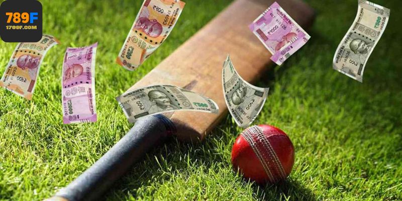 Bảng thống kê hiệu suất hoạt động của thể thao 789F – Tối ưu mọi chỉ số từ tốc độ đến độ tin cậy.